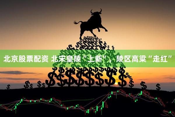 北京股票配资 北宋皇陵“上新”，陵区高粱“走红”