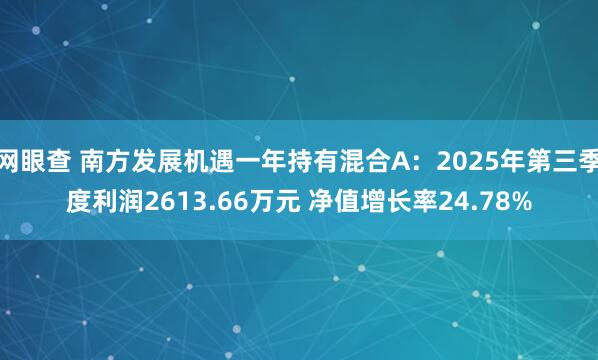 网眼查 南方发展机遇一年持有混合A：2025年第三季度利润2613.66万元 净值增长率24.78%